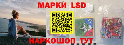 гидропоника Кингисепп