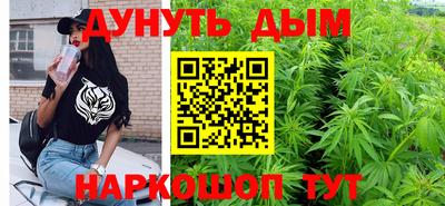 гидропоника Кингисепп